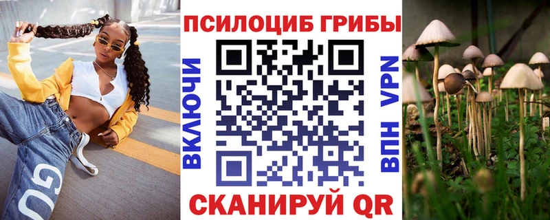 где можно купить   blacksprut зеркало  Псилоцибиновые грибы Psilocybe  Судак 
